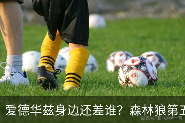 爱德华兹身边还差谁？森林狼第五位首发到底怎么选