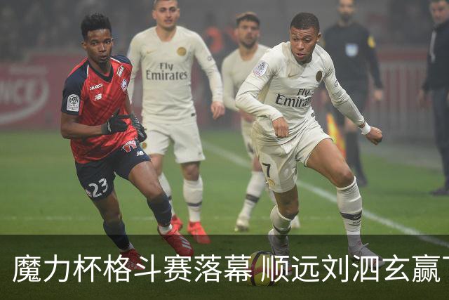 魔力杯格斗赛落幕 顺远刘泗玄赢下100公斤级